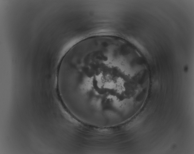 X0000093531413200710191344