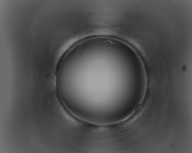 X0000093531414200710191344