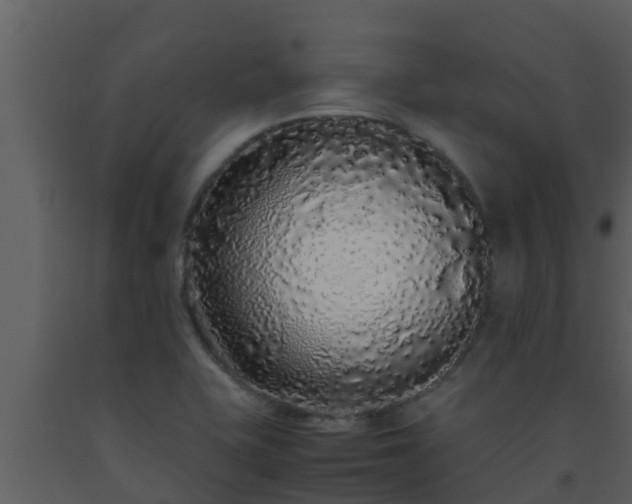 X0000093531415200710191344