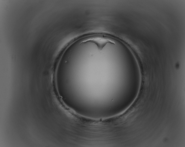 X0000093531416200710191344
