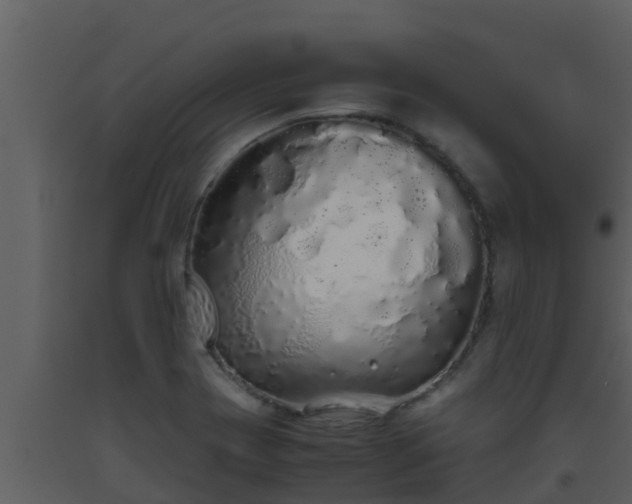 X0000093531417200710191344