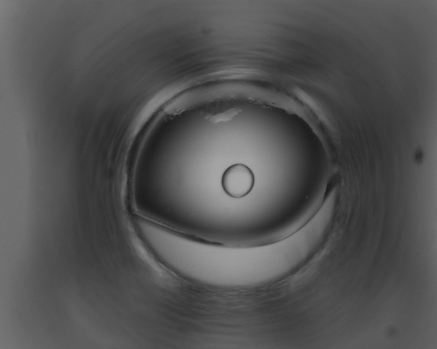X0000093531418200710191344