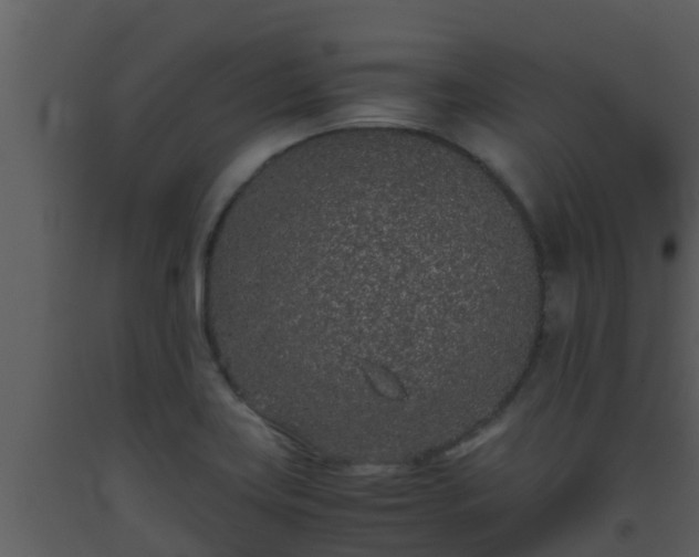 X0000093531419200710191344