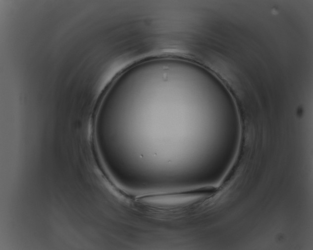 X0000093531420200710191344