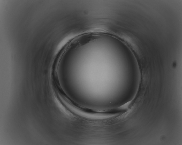 X0000093531422200710191344