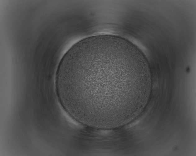 X0000093531423200710191344