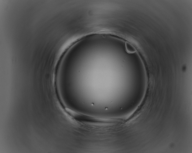 X0000093531424200710191344