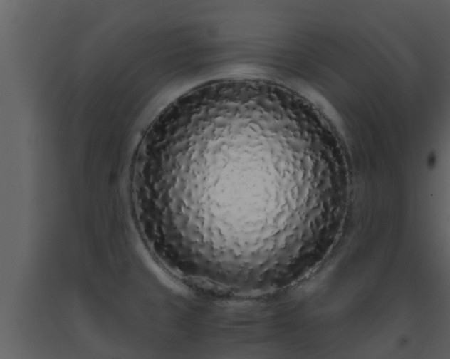 X0000093531429200710191344