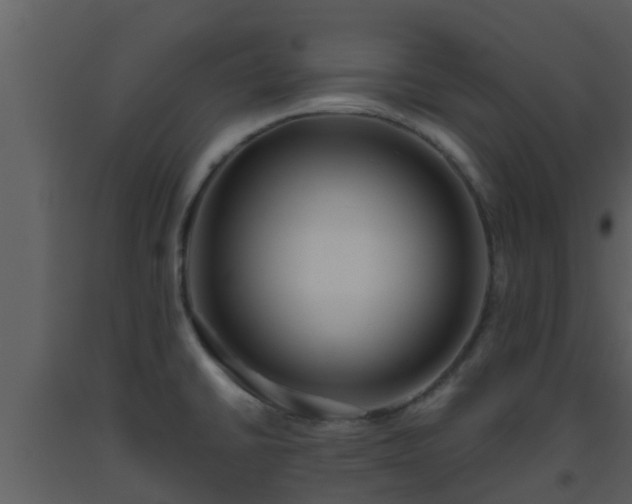 X0000093531430200710191344