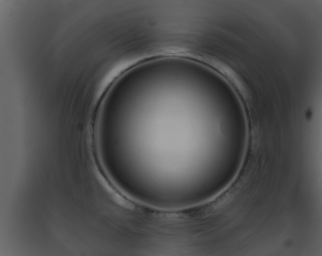 X0000093531432200710191344