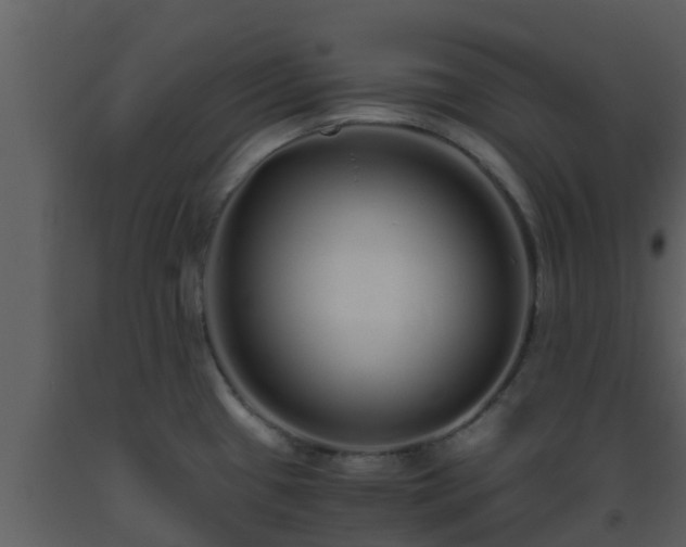 X0000093531433200710191344