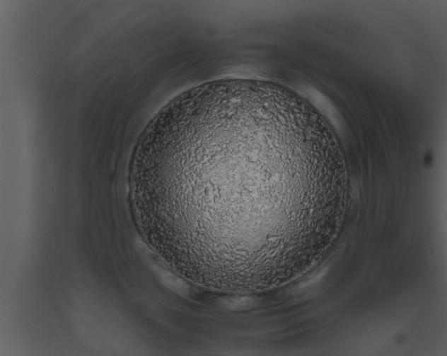 X0000093531435200710191344