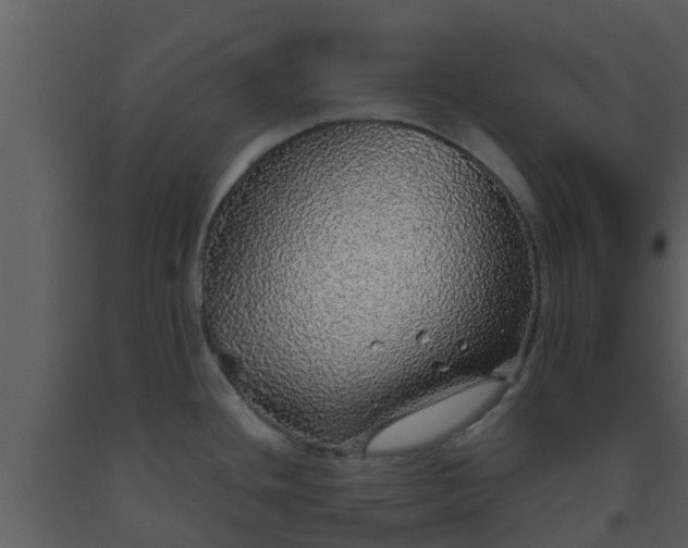 X0000093531436200710191344