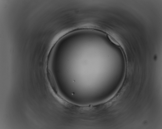X0000093531437200710191344