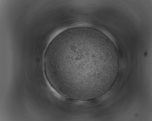 X0000093531439200710191344