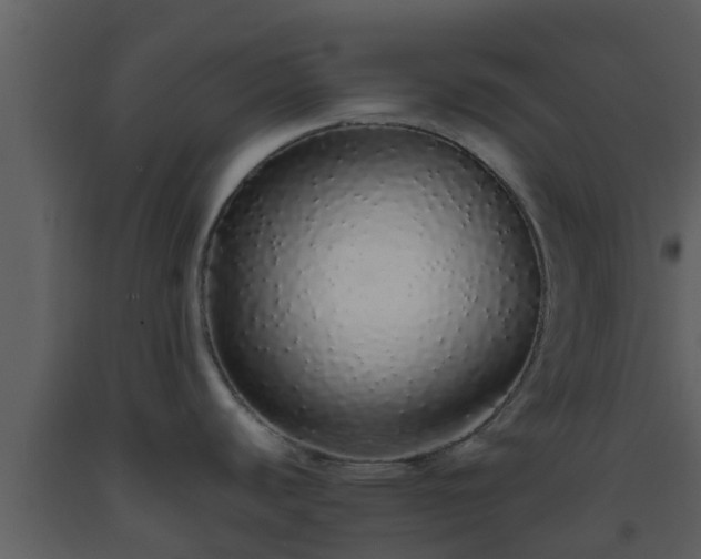 X0000093531440200710191344