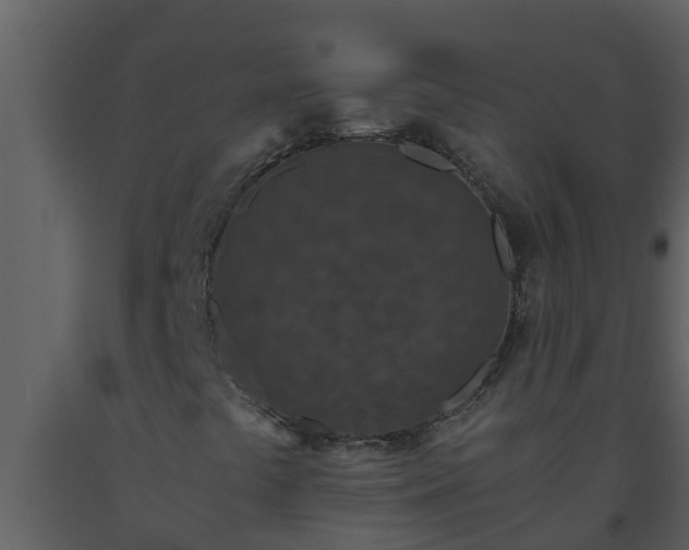 X0000093531441200710191343