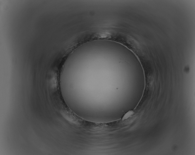 X0000093531442200710191343