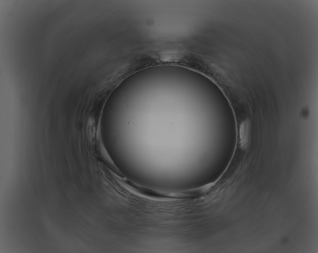 X0000093531443200710191343