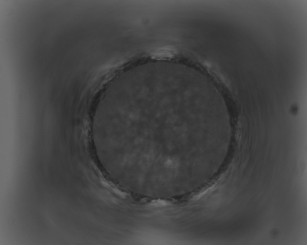 X0000093531445200710191343