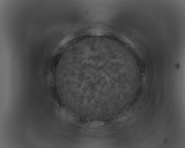 X0000093531446200710191343