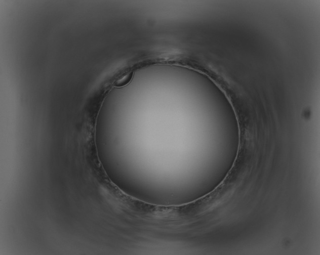 X0000093531447200710191343