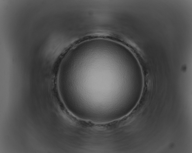 X0000093531448200710191343