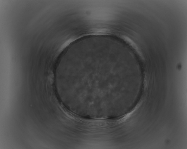 X0000093531449200710191343