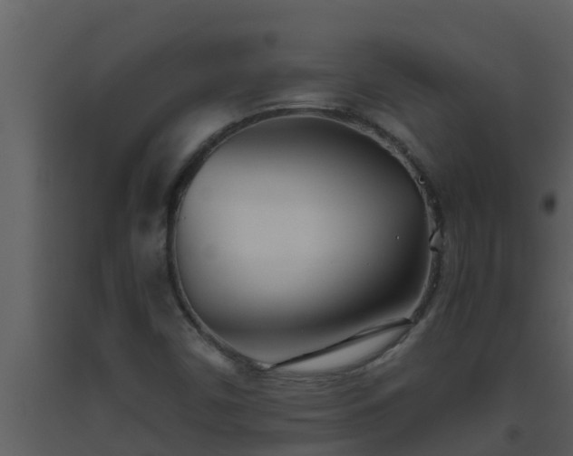 X0000093531450200710191343