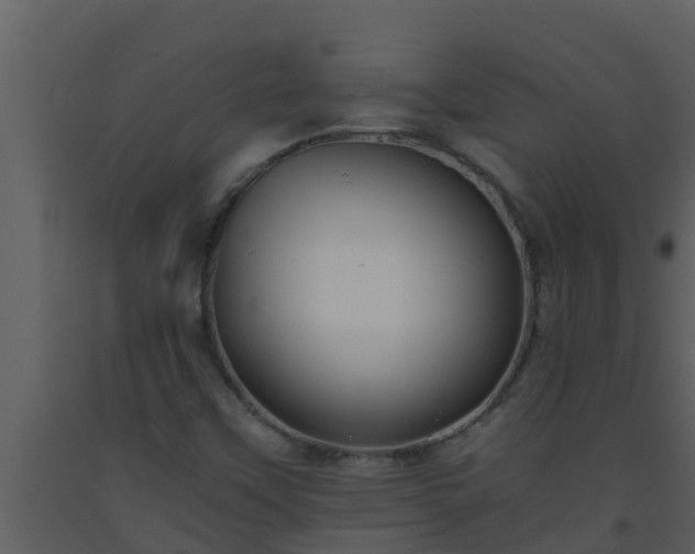X0000093531451200710191343