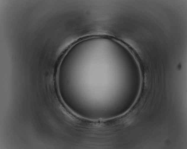 X0000093531452200710191343