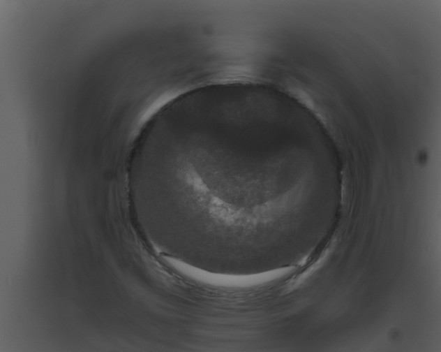 X0000093531453200710191343