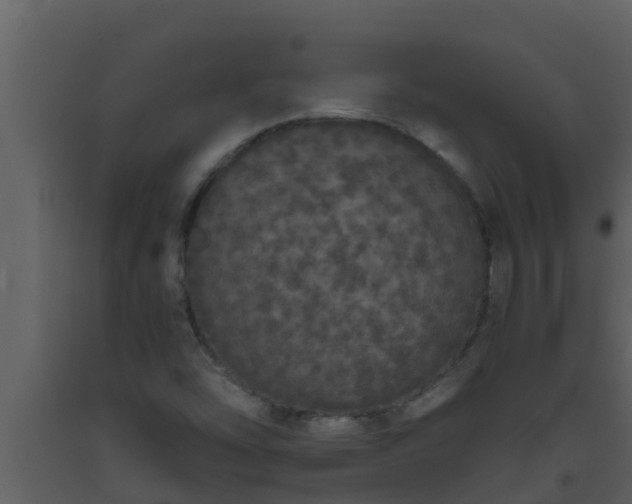 X0000093531454200710191343
