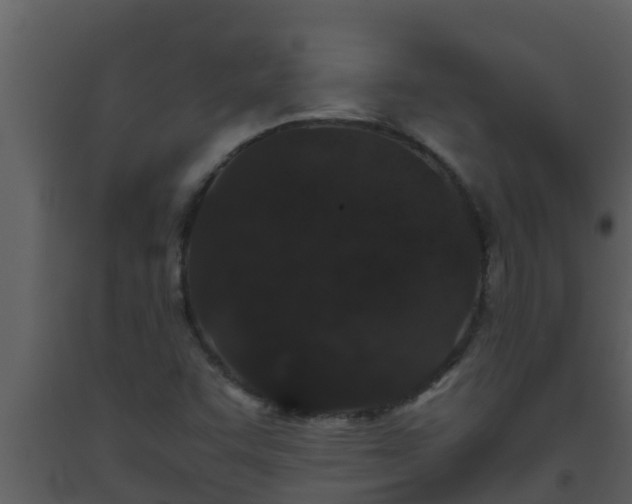 X0000093531455200710191343