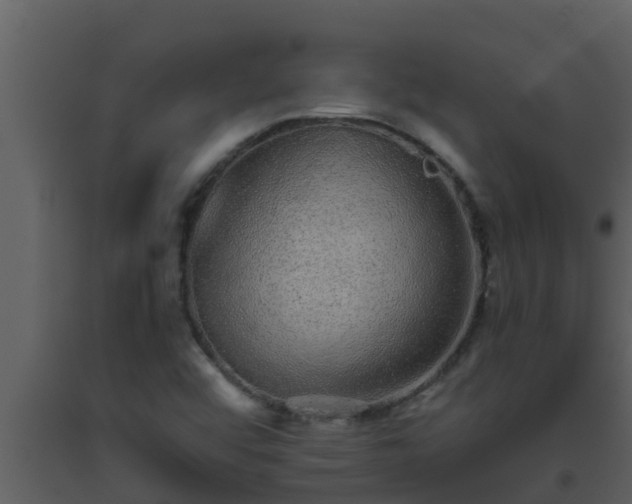 X0000093531456200710191343