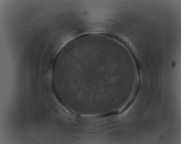 X0000093531457200710191343