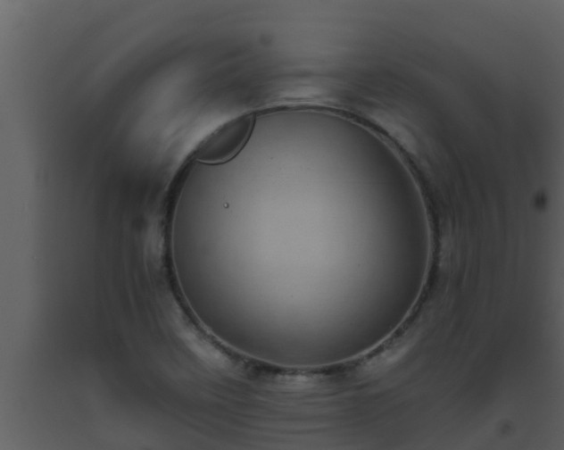 X0000093531458200710191343