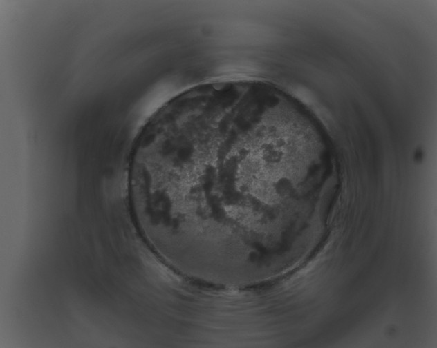 X0000093531459200710191343