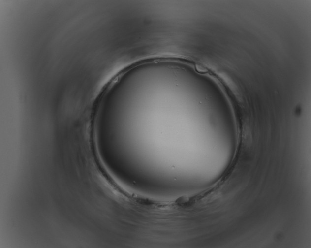 X0000093531460200710191343
