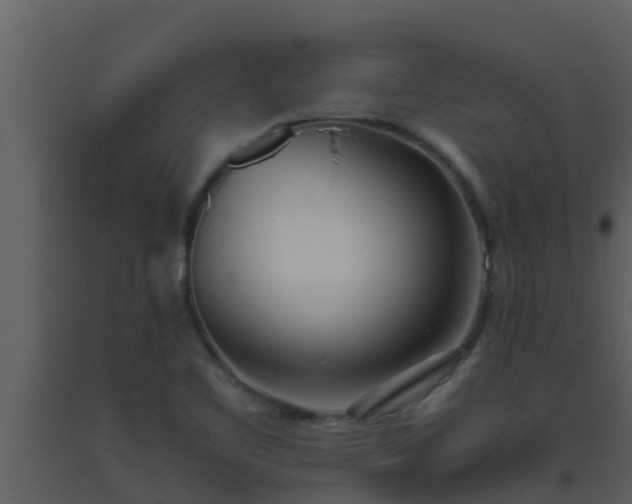 X0000093531461200710191343