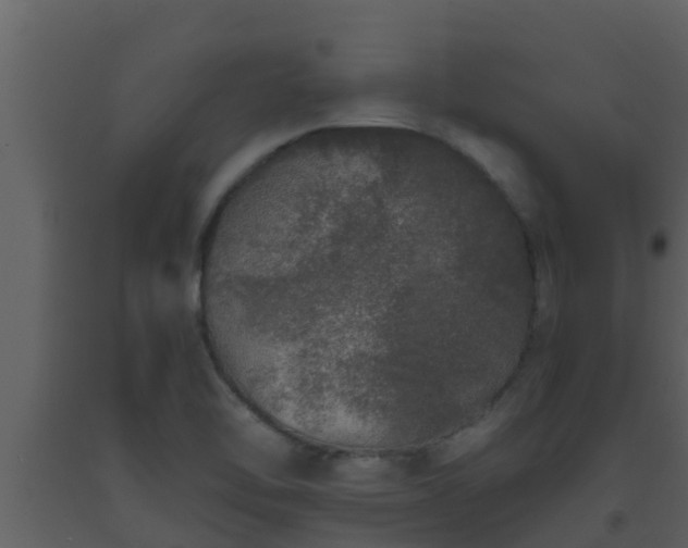 X0000093531462200710191343