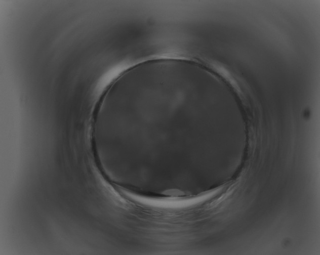X0000093531463200710191343