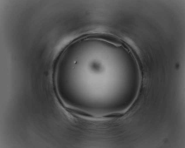X0000093531464200710191343