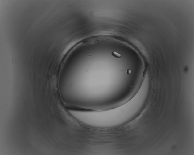 X0000093531465200710191343