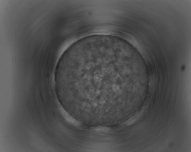 X0000093531466200710191343
