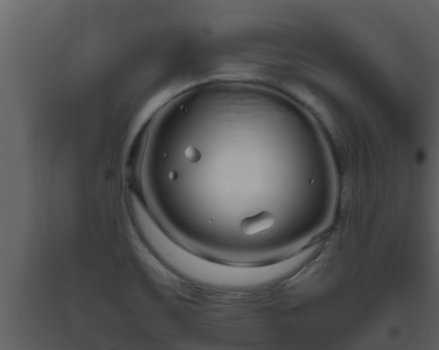 X0000093531467200710191343