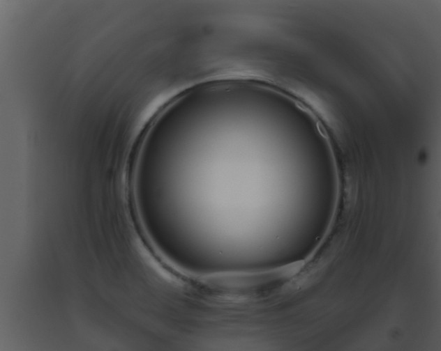 X0000093531468200710191343
