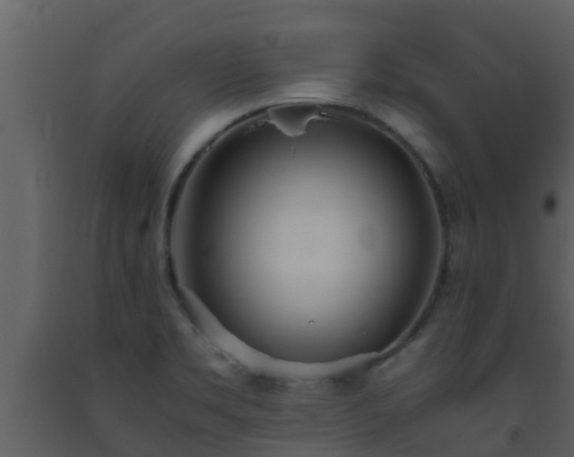 X0000093531469200710191343