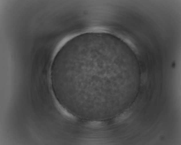 X0000093531470200710191343