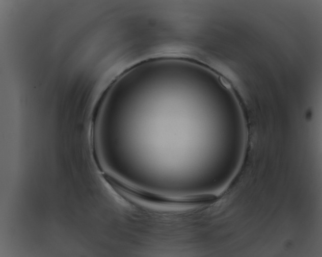X0000093531472200710191343